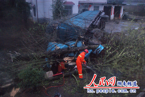 大货车撞断大树驾驶员被困车中 攸县消防紧急