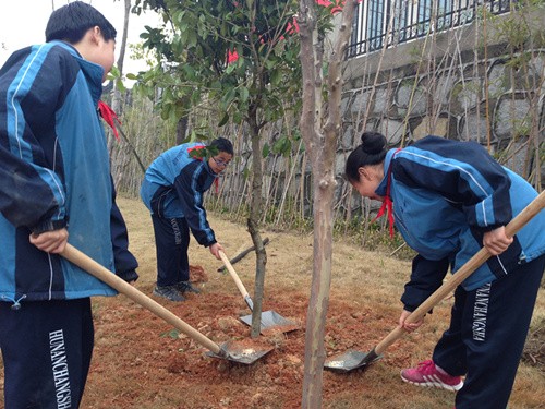 长沙多所中小学学生校园种树 为身边自然环境