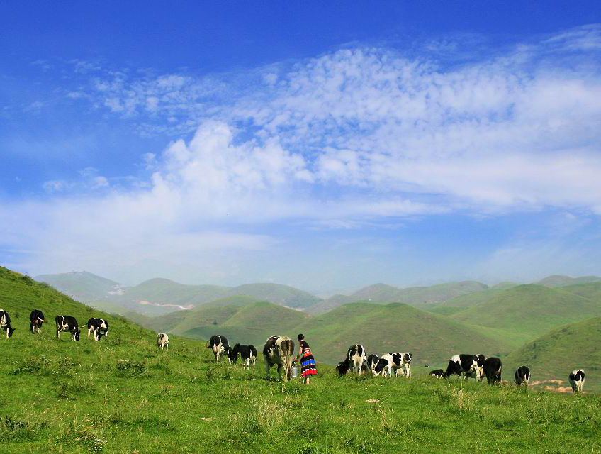 中國第一牧場（湖南南山大草原共有草原面積152平方公裡）
