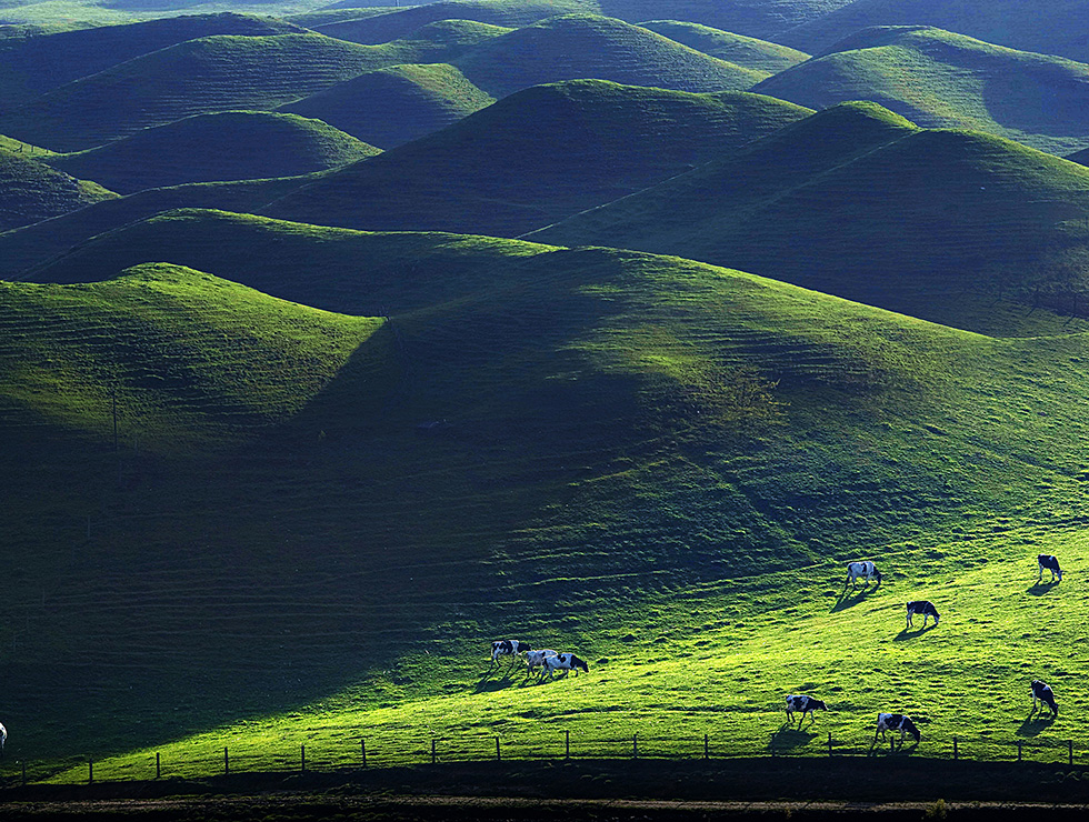 中國第一牧場——湖南南山大草原湖南南山大草原是國家3A級風景名勝區，景區面積152平方公裡。