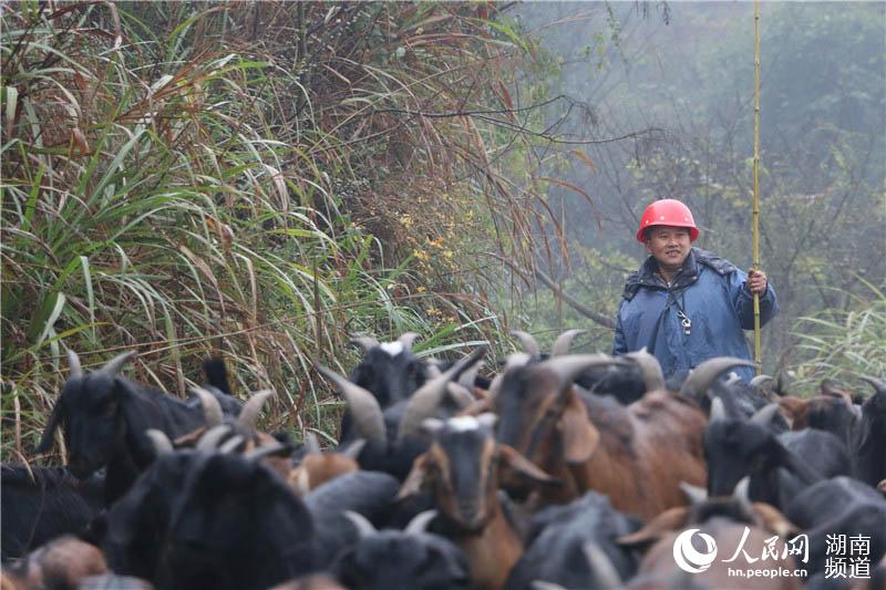 耒阳有多少人口_曝光 耒阳某业主写的一封维权信,震惊了所有耒阳人(2)