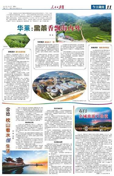 華萊：黑茶香飄海內外
