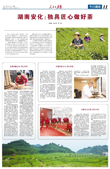 湖南安化：獨具匠心做好茶

