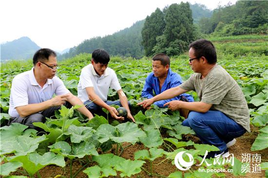 湖南2.5萬名科技特派員服務三湘數千萬農民