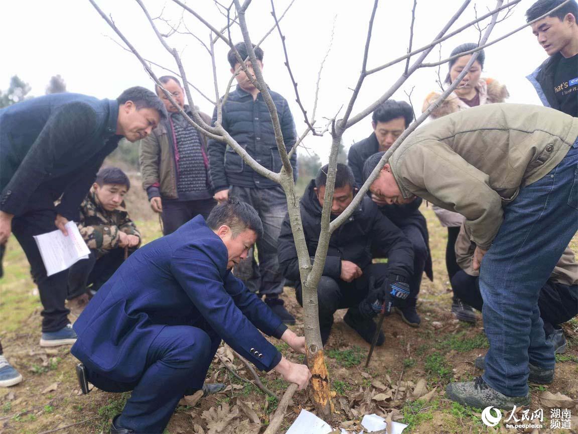 ������Ǻ����硰��ר�ҡ�������ͷΪ������������׶�����溦���Ρ�������