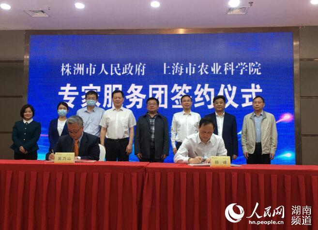 株洲市與上海市農科院舉行簽約儀式。王鋒 攝