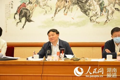 全国人大代表、湖南省发改委主任胡伟林。受访者供图