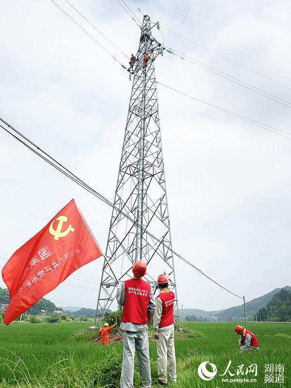 湘潭公司共产党员突击队奋战在35千伏长中晓线路集中检修现场。周波 摄