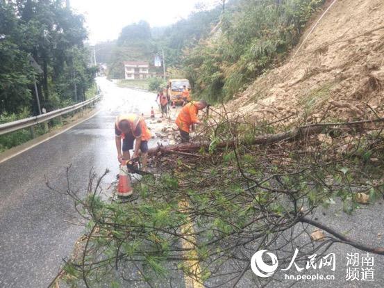 安化縣公路部門處治G536國道K296+900處山體塌方。龍自榮攝