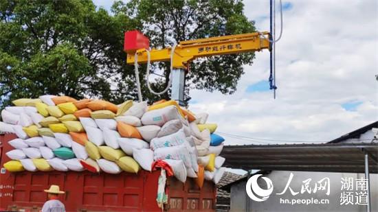 江南体育官网湖南衡阳：硬核举措扛起粮食生产大市责任(图2)