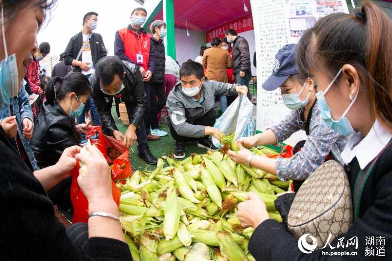 湖南省各城市2020年_2020湖南茶业科技创新论坛在湖南省娄底市新化县举