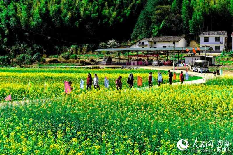 青山綠水，人氣越來越足。張坊鎮供圖