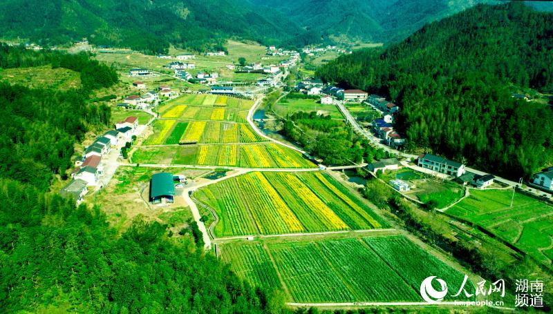 美麗的瀏陽市張坊鎮一角。張坊鎮供圖