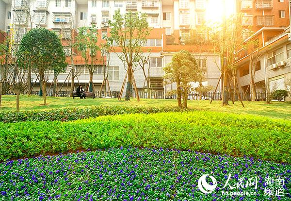 改造后，街心游園裡香樟、銀杏、盛放的鮮花等植被和平整幽靜的觀景小路讓人眼前一亮，園內還設置了石桌椅、庭院燈等設施，方便社區鄰裡在此休閑。章帝攝