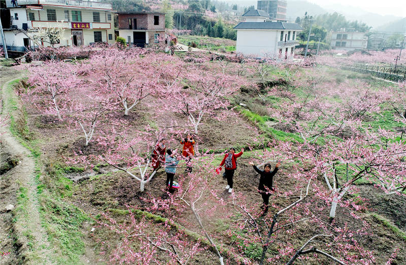 ����ʡ����Ž��������壬��������԰���½������޵ȹ�����ũ��������������������