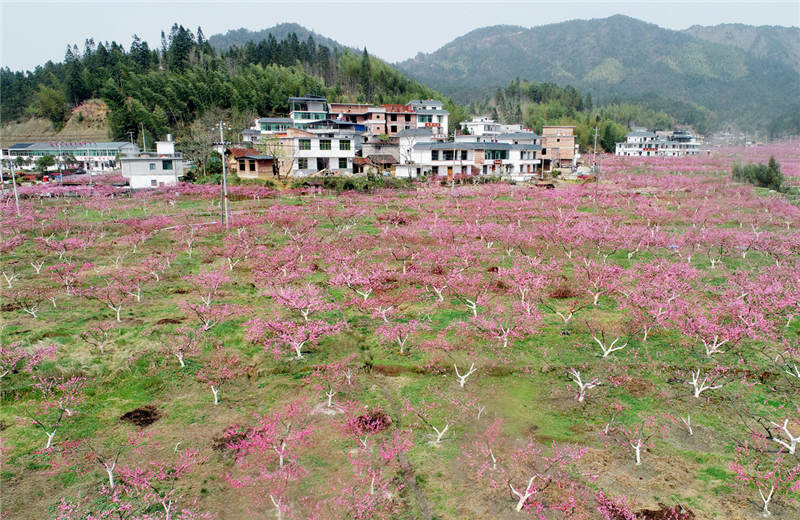 ����ʡ����Ž��������壬��������԰���½������޵ȹ�����ũ��������������������