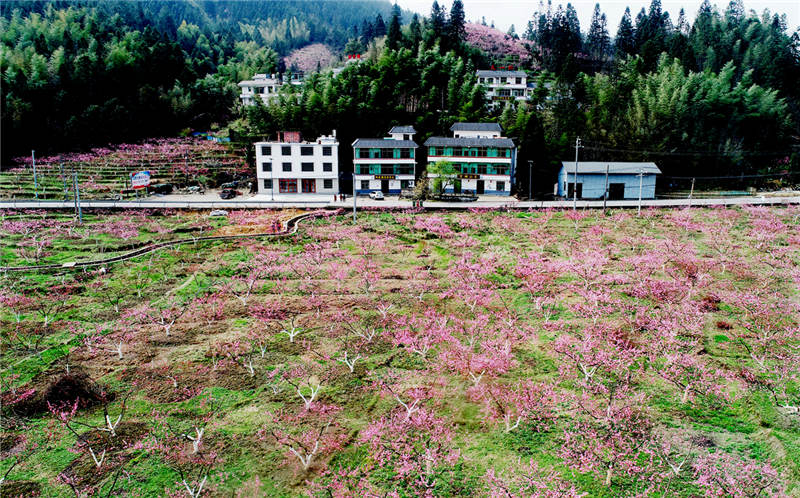 ����ʡ����Ž��������壬��������԰���½������޵ȹ�����ũ��������������������