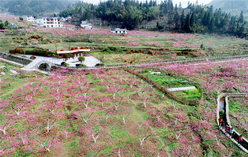 ����ʡ����Ž��������壬��������԰���½������޵ȹ�����ũ��������������������