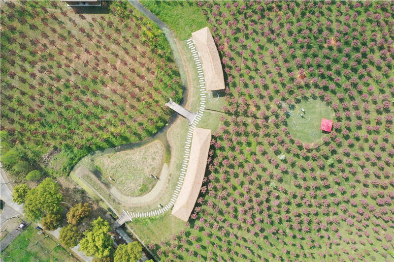 3月25日，澧縣城頭山國家考古遺址公園海棠花園內，工程人員在制作安裝游樂設施。柏依朴攝