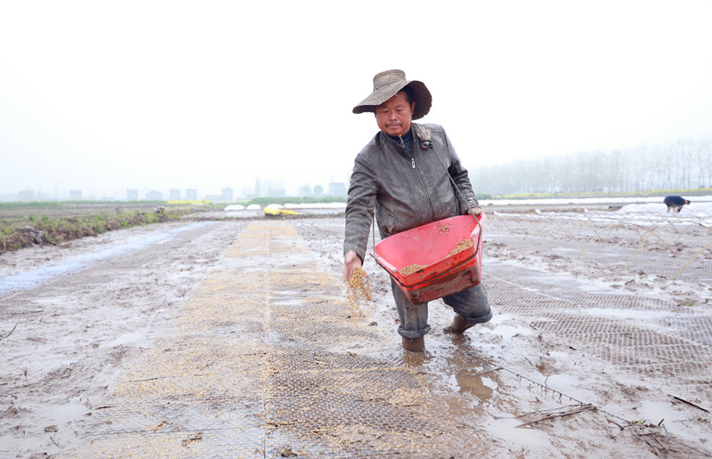 ���¡������ϣ���� ��ʢӵ����