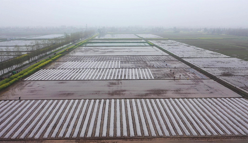 ��������佭�����絾�������43.2��Ķ��ʢӵ����