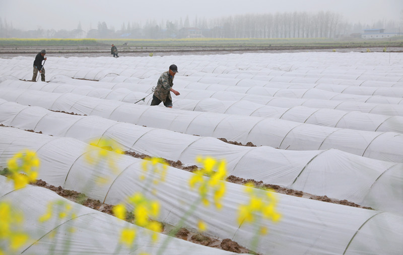 �佭�д��ģרҵ����������ʾ����10����ʢӵ����