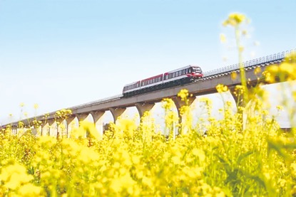 �г��������Ĵ������г����ڳ�ɳ�Ÿ������Ϸɳۡ���������