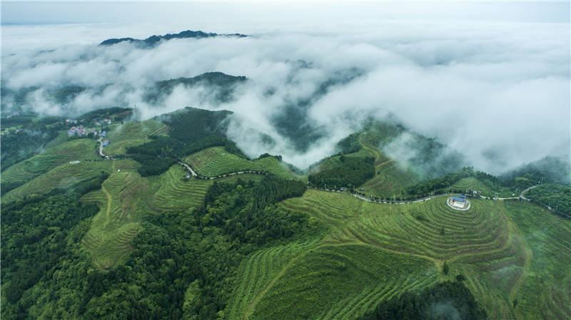 麻陽苗族自治縣譚家寨鄉楠木橋村，青山、民居錯落有致，雲霧繚繞。滕樹明攝