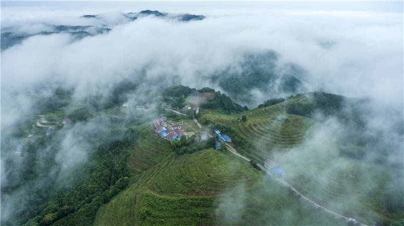 麻陽苗族自治縣譚家寨鄉楠木橋村，青山、民居錯落有致，雲霧繚繞。滕樹明攝