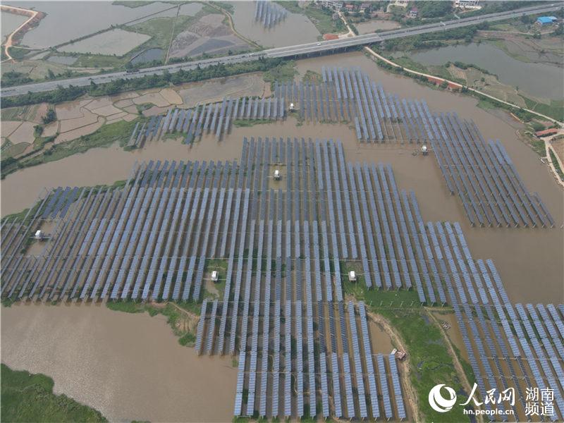 衡東縣把發展清潔能源和農戶增收工作結合了起來。人民網 李芳森攝