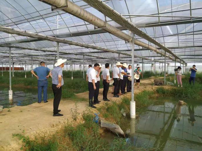 特色水產養殖基地。單位供圖