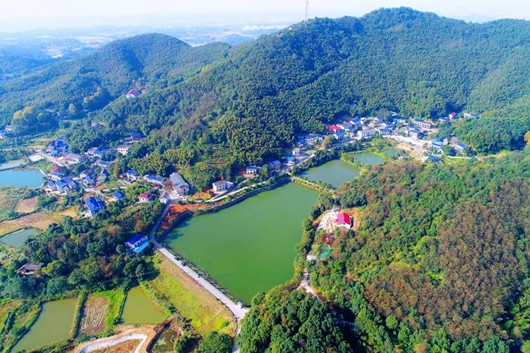 望城區黃金園街道英雄嶺村劉家沖美麗宜居村庄。望城區委網信辦供圖