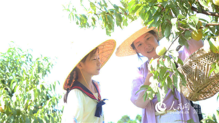 游客給孩子介紹南岳的黃桃。人民網 李芳森攝