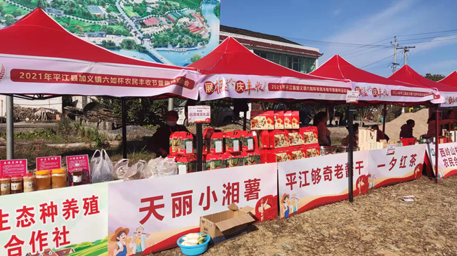 平江縣加義鎮農民豐收節上展銷各類農產品。葉莎攝