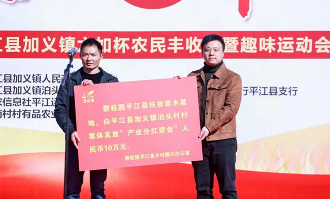 碧桂園平江縣鄉村振興辦公室向泊頭村村集體發放產業分紅資金。受訪者供圖