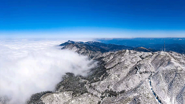 積雪將植被層層覆蓋。潘雨攝
