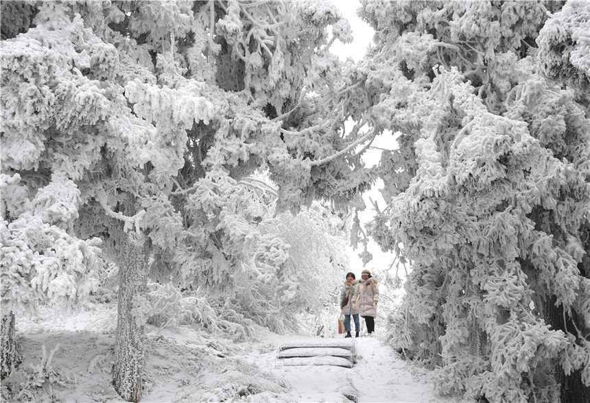 2月20日，游客在湖南省衡陽市南岳衡山景區游玩賞雪。文蘭攝