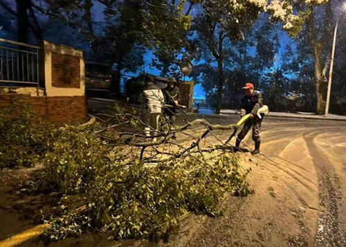 4、長沙市雨花區各街鎮、各部門迎風戰雪。受訪單位供圖