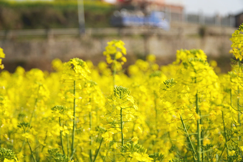 �Ͳ˻����� ����ɺ��