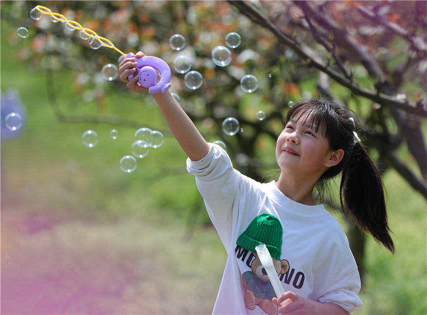 一位小朋友在湖南省衡陽市珠暉區茶山坳鎮金甲梨園裡玩泡泡。曹正平攝