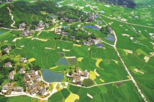 宁乡广阔农村地区。受访单位供图