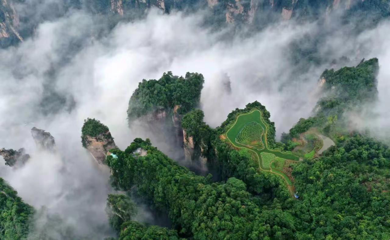 世界自然遗产地张家界武陵源的天子山空中田园。吴勇兵摄