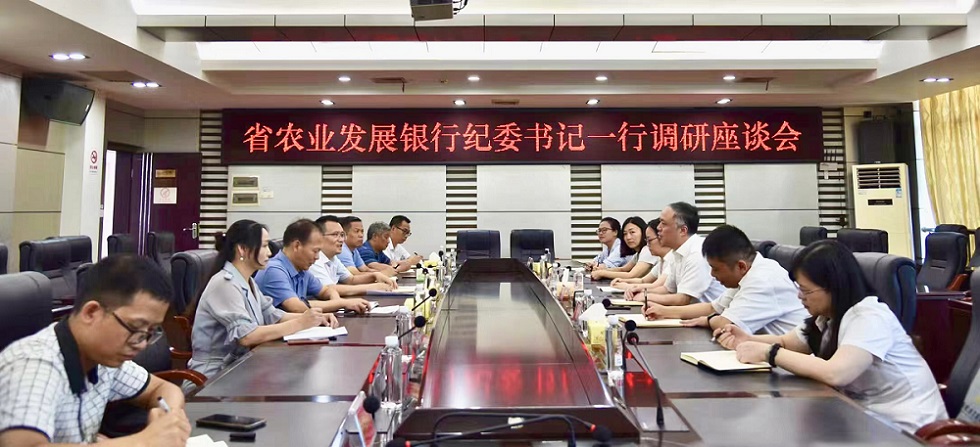 陶勇与城步县党政主要领导座谈。单位供图