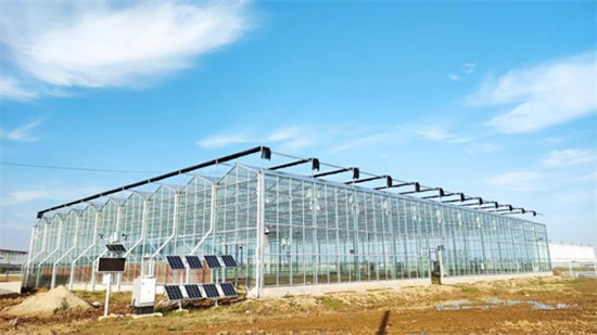 楊凌良科智慧農業基地智能玻璃溫室。企業供圖