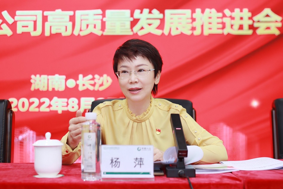 深圳区域审计中心党委书记、总经理杨萍发言。单位供图