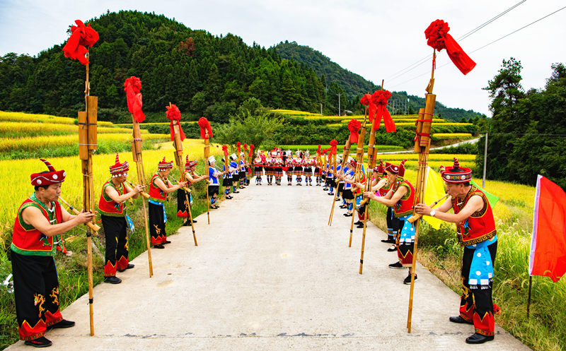 身着侗族服饰的村民在梯田里吹起芦笙，喜庆丰收年。田文国摄