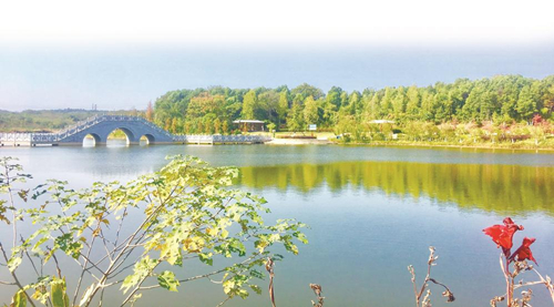 亮月湖公園一角。受訪單位供圖