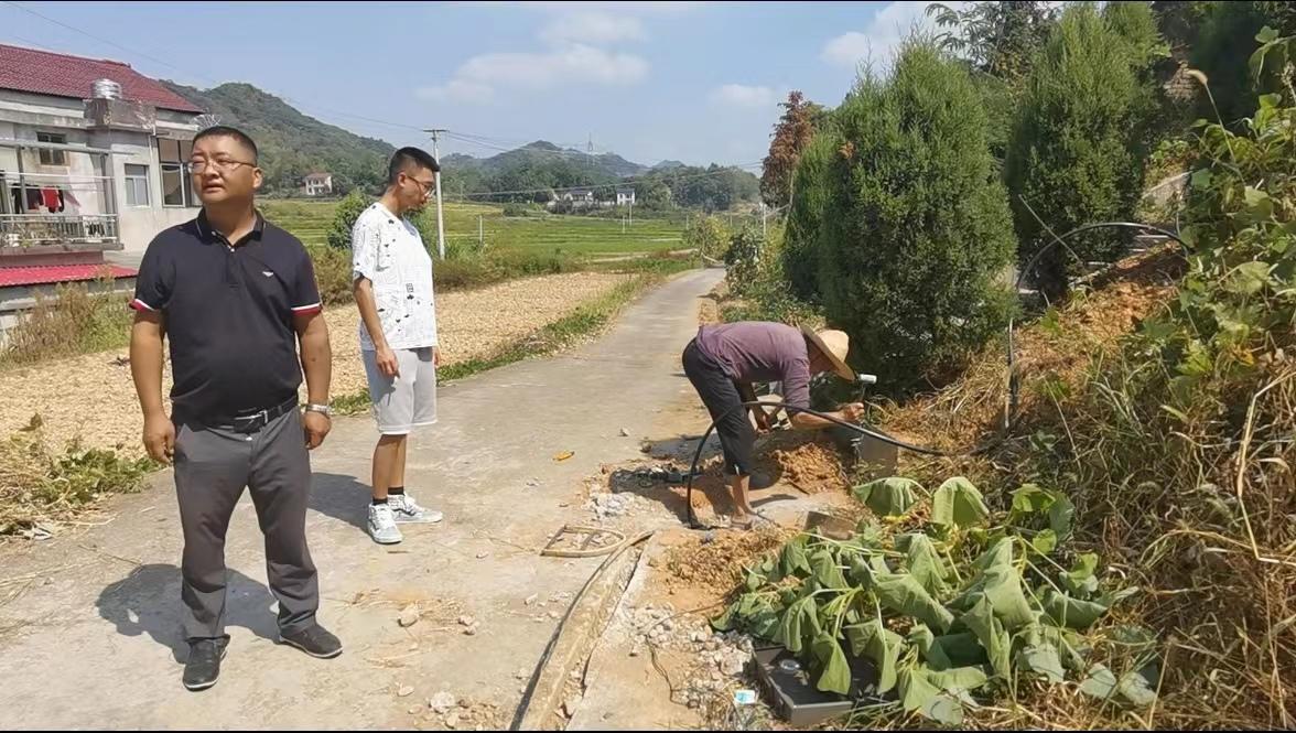 桃江县灰山港镇企石村党总支书记李治（左一）和村干部督查村民铺设临时水管情况。胡卫红 摄