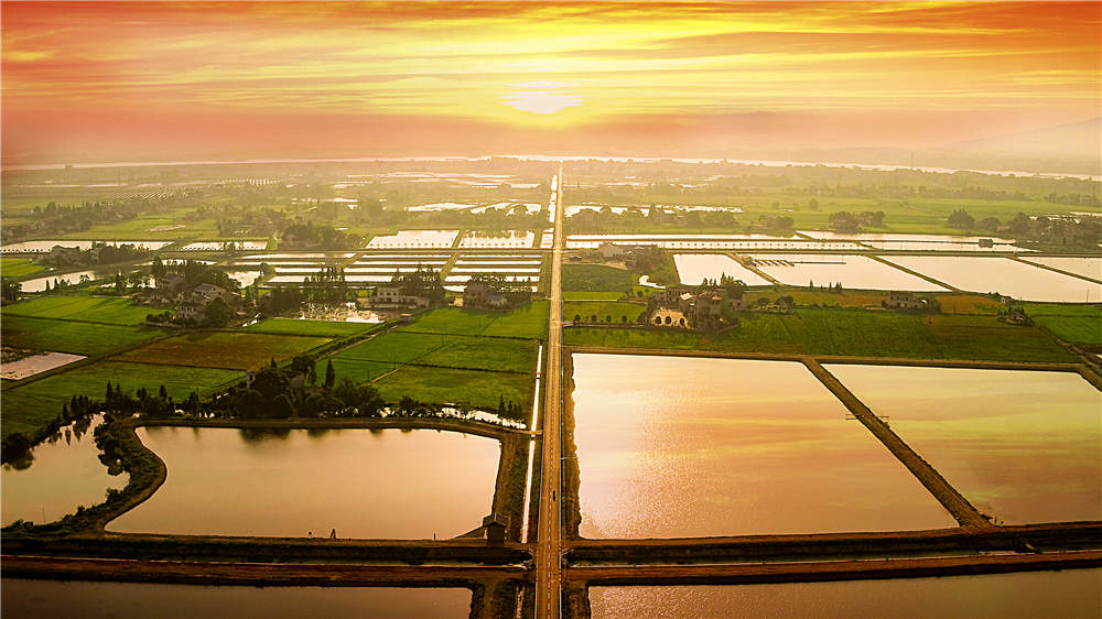 夕阳下的现代农业综合产业园 公路、天空、鱼塘融为一体。陈萌 摄