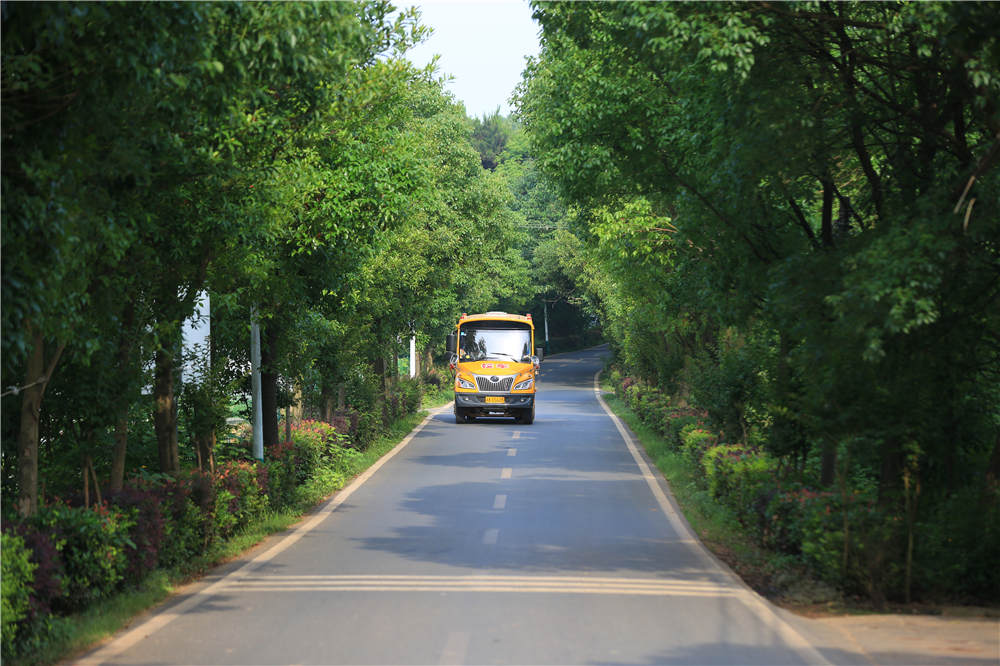 校车行驶在风景秀丽的乡村公路上。龚文 摄